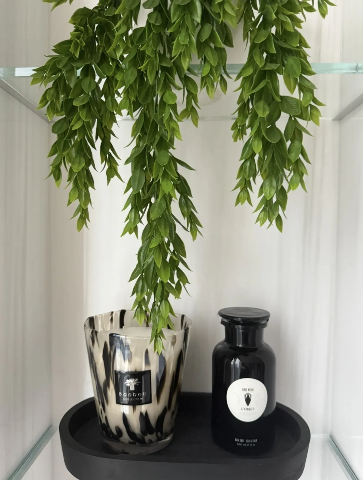 Close view of greenery and decorative objects on glass shelving