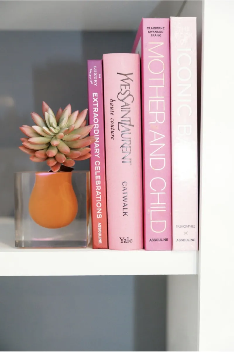 Pink fashion books and an orange vase with a succulent on a white built-in shelf